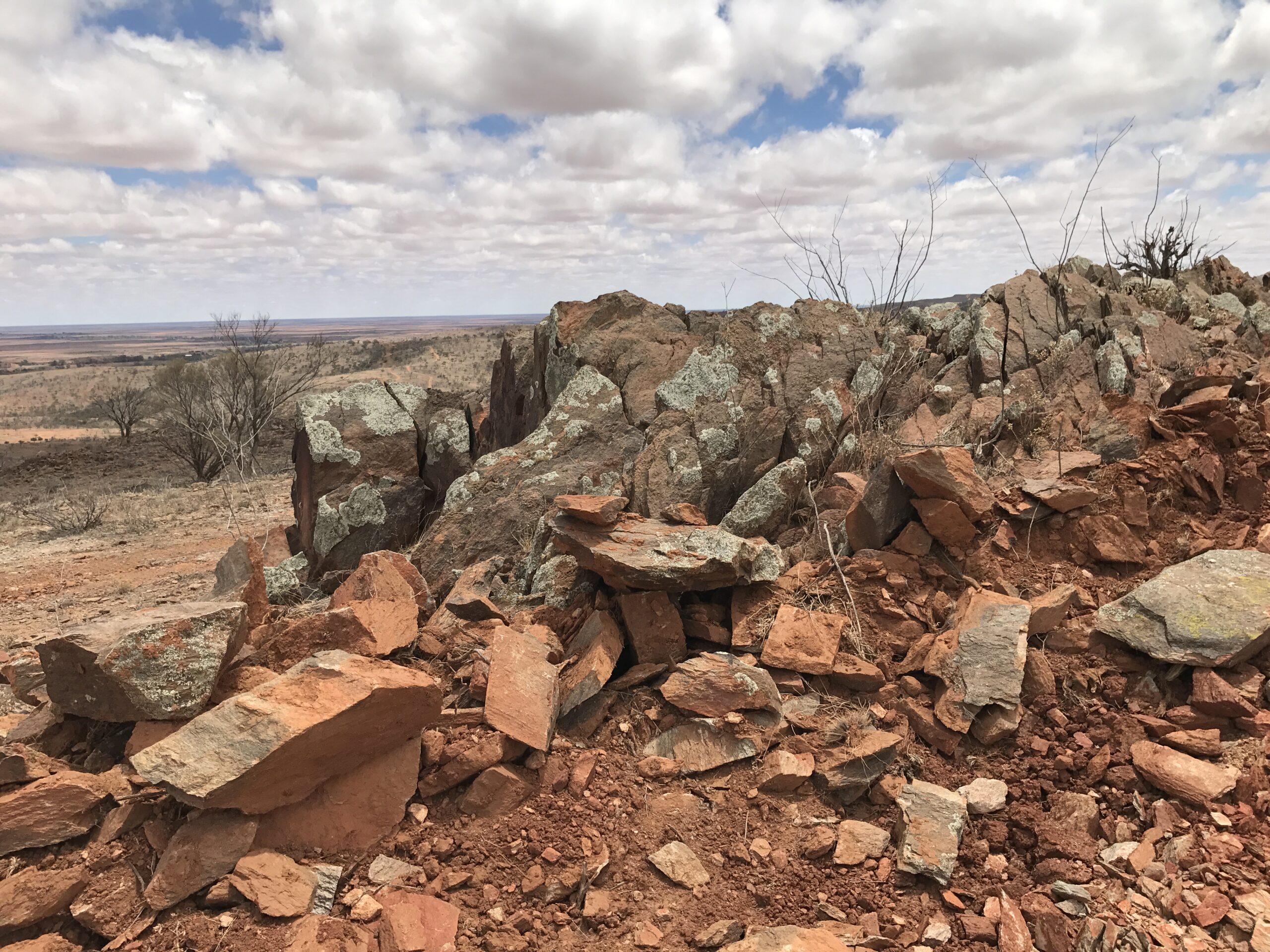 Naturally occurring asbestos remediation